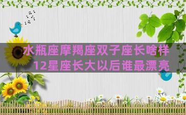 水瓶座摩羯座双子座长啥样 12星座长大以后谁最漂亮
